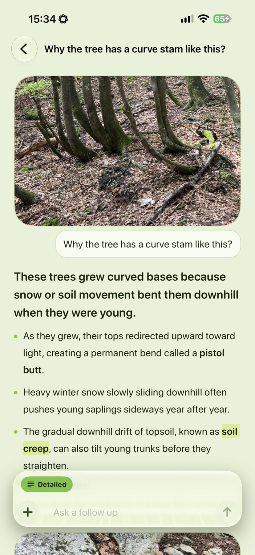 Real Wegmarke Curious answer screen