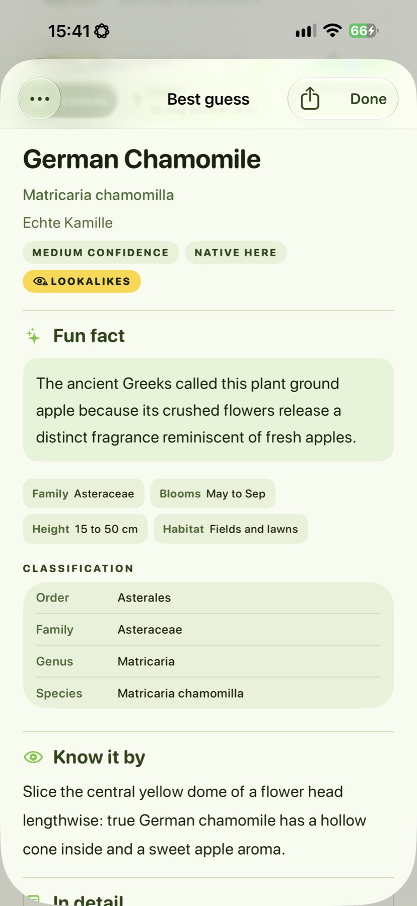 Real Wegmarke identification details screen